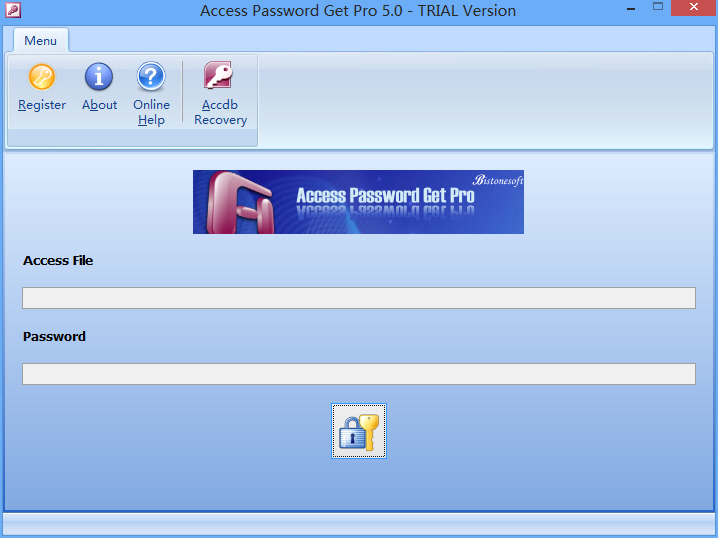 ms access password crack